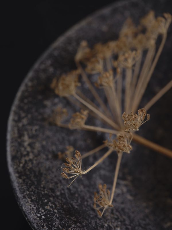 Productie & styling: Marit Saladini Fotografie: Sven Benjamins